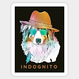 Australian Shepherd Indognito Sticker